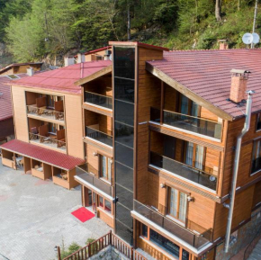 Гостиница Elif Inan Hotel  Uzungöl